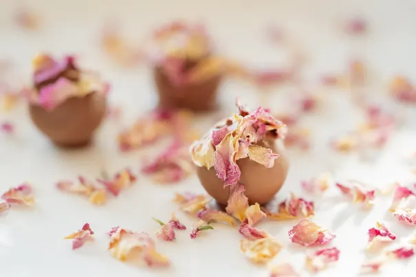 Casino Bella Vegas App Android/iOS